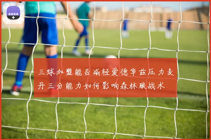 三球加盟能否减轻爱德华兹压力麦丹三分能力如何影响森林狼战术